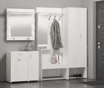 Шкаф-купе Ольга Милк 10.1 