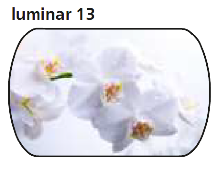 Стол обеденный Прага 2 с ящиком опора  D40 